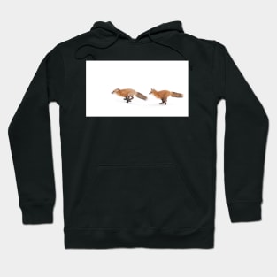 Running Foxes - Red Fox Hoodie